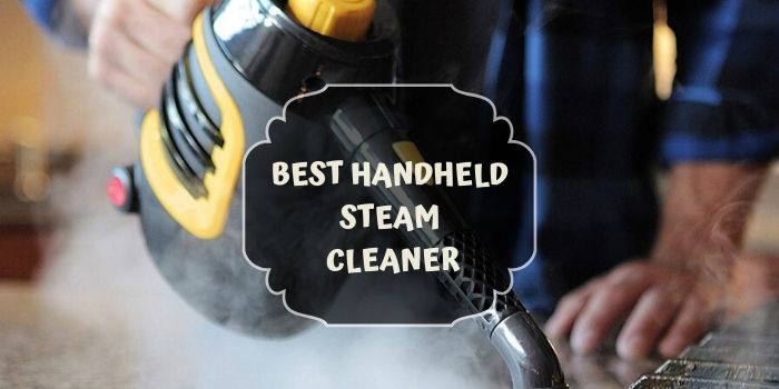 Why Steam is better than Just Regular Cleaning?