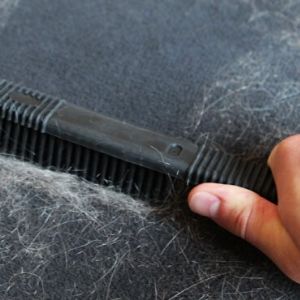 How To Remove Pet Hair From The Cloths