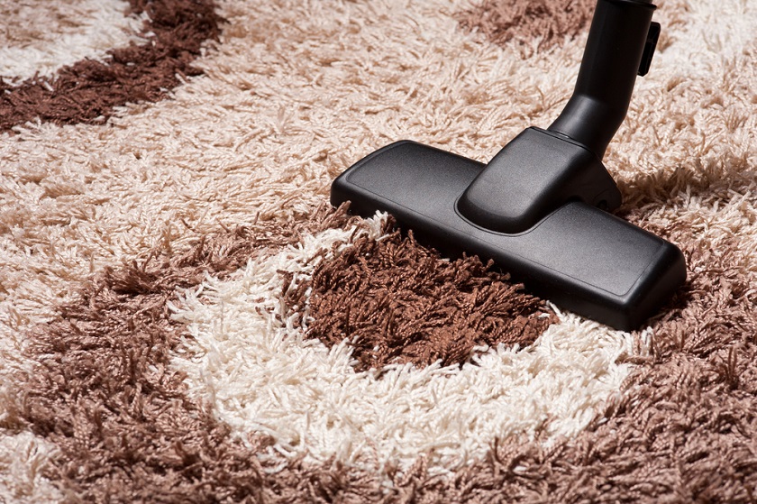 Top 5 Best Carpet Extractors Reviews
