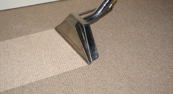 Homemade Carpet Cleaning Solution For Bissell