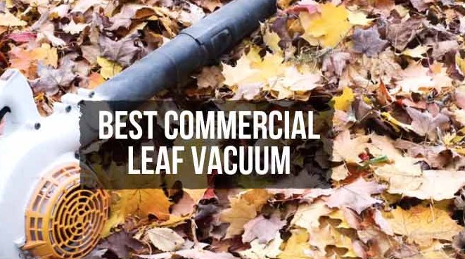 Top 10 Best Commercial Leaf Vacuum Reviews